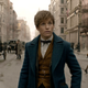 Illustration for article titled The Latest Trailer for iFantastic Beasts/i Welcomes You To New York